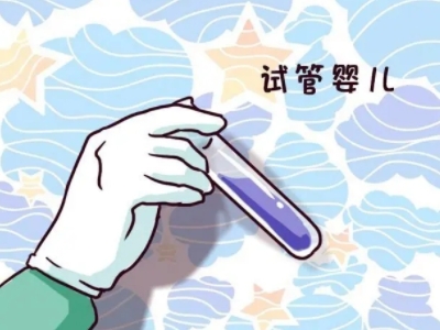 关于单身同志供卵公司